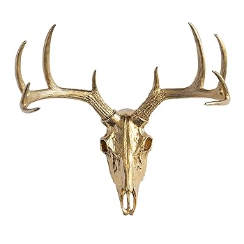 Amazon.co.jp: Near and Deer 人工剥製鹿 頭蓋骨 壁取り付け